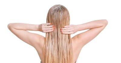 От стресса и болезни до расы: какие внешние факторы влияют на рост волос - focus.ua - Украина - Англия