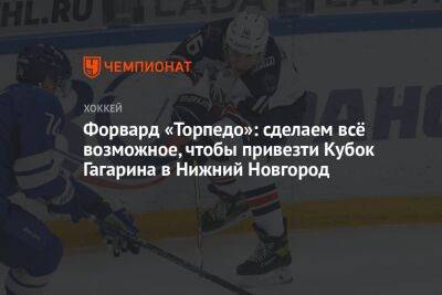 Форвард «Торпедо»: сделаем всё возможное, чтобы привезти Кубок Гагарина в Нижний Новгород