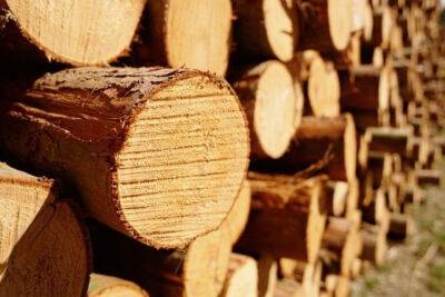 Россия наращивает экспорт лесоматериалов в Китай