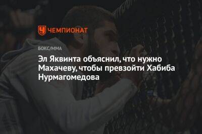 Эл Яквинта объяснил, что нужно Махачеву, чтобы превзойти Хабиба Нурмагомедова