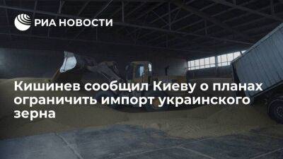 Кишинев сообщил Киеву о планах временно ограничить импорт украинского зерна