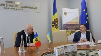 Молдова введет временный запрет на импорт четырех агротоваров из Украины