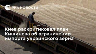Киев раскритиковал план Кишинева об ограничении импорта нескольких зерновых культур