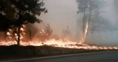 "Готовится эвакуация": в РФ загорелись склады с порохом из-за лесного пожара, – СМИ (видео)