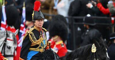 Принцесса Анна верхом возглавила процессию военнослужащих на коронации старшего брата (видео)
