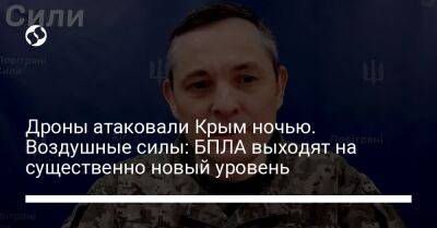 Дроны атаковали Крым ночью. Воздушные силы: БПЛА выходят на существенно новый уровень