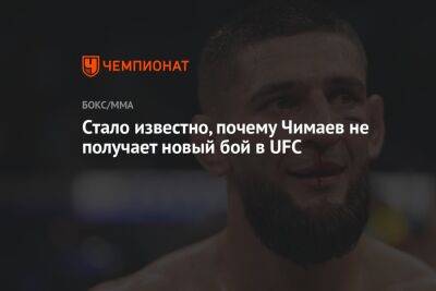 Дана Уайт - Кевин Холланд - Хамзат Чимаев - Cтало известно, почему Чимаев не получает новый бой в UFC - championat.com - США - Швеция - Абу-Даби