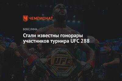 Стали известны гонорары участников турнира UFC 288