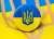 Силовики задержали парня за татуировки с «Погоней» и гербом Украины - udf.by - Украина - Солигорск