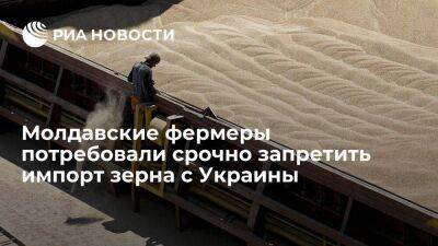 Молдавская ассоциация "Сила фермеров" потребовала срочно запретить импорт зерна с Украины