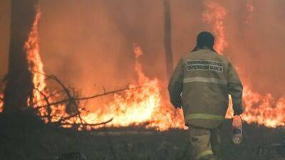 Природные пожары охватили три региона Урала. Что известно на данный момент