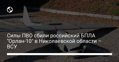 Силы ПВО сбили российский БПЛА "Орлан-10" в Николаевской области – ВСУ