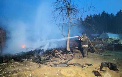 Пожары в Курганской области РФ: количество погибших достигло 19
