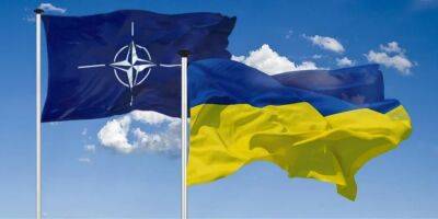 Украина ожидает политического приглашения в НАТО на саммите в Вильнюсе — Стефанишина