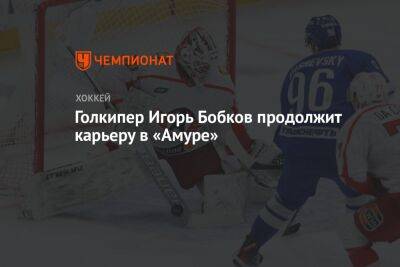Голкипер Игорь Бобков продолжит карьеру в «Амуре»