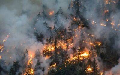 Канада из-за лесных пожаров остановила добычу нефти и газа