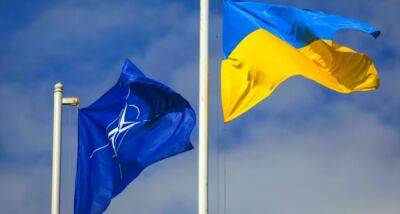 Украина ожидает политического приглашения в НАТО на июльском саммите – Стефанишина