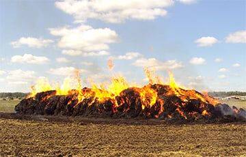 В трех областях Беларуси за сутки сгорело 100 тонн соломы