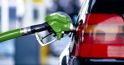 В Украине резко снизились цены на бензин и дизель перед летним подорожанием