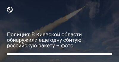 Полиция: В Киевской области обнаружили еще одну сбитую российскую ракету – фото