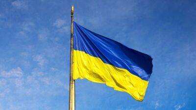 В Москве полицейские задержали и избили активиста с флагом Украины