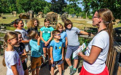Сегодня дети могут бесплатно посетить Пражский зоопарк - vinegret.cz - Чехия - Прага