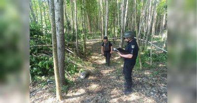 Жертв могло быть больше: в лесу под Киевом обнаружена неразорвавшуюся боевую часть «шахеда»