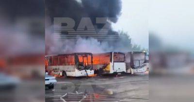 Сгорели более 30 автобусов и машин: в российском Ногинске подожгли стоянку (видео)