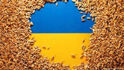 Страна-агрессор заблокировала работу зерновой сделки: что известно - vchaspik.ua - Россия - Украина - Турция - Стамбул - Черноморск