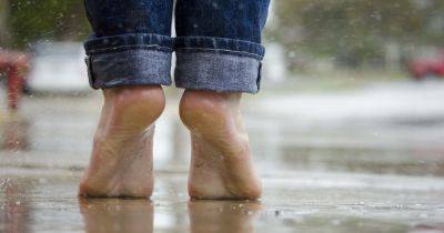 Дожди с грозами и град: синоптики рассказали, какой будет погода в выходные (видео)