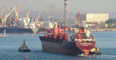 Открытие портов выгодно не только Украине, но и всему миру, — эксперт