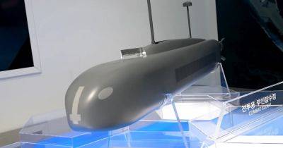 Инженеры показали рой беспилотных подлодок: как Combat XLUUV изменят морские бои (видео) - focus.ua - Южная Корея - Украина - Израиль - Германия - Франция - Япония - Пусан