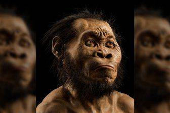 Homo naledi хоронили своих умерших за 100 000 лет до того, как это сделали современные люди