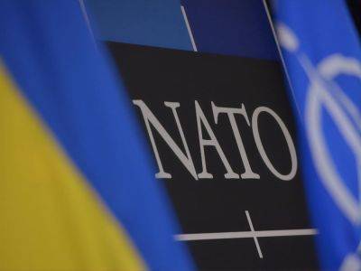 "Работаем над документом". Зеленский заявил, что Украине нужны юридические гарантии безопасности на пути в НАТО