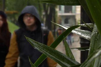 Доставайте курточки - будет ураганный ветер и грозы: синоптик Диденко предупредила о погоде в воскресенье