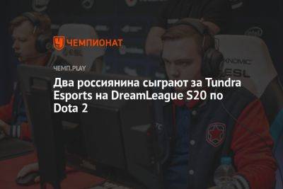 Два россиянина сыграют за Tundra Esports на DreamLeague S20 по Dota 2
