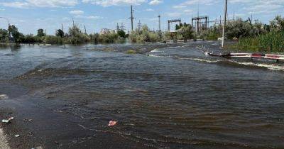 "Вода опасна": на Херсонщине запретили купание, вылов и продажу рыбы