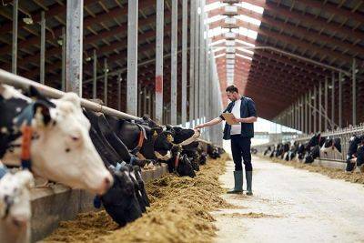 Из-за перепроизодства молока фермеры обратились за государственной помощью