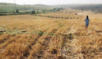Гражданин России пытался незаконно купить участок земли в Узбекистане за $140 тысяч