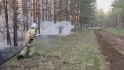 Гибель 14 сотрудников лесничества в лесном пожаре: президент Казахстана объявил День траура