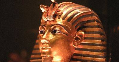 Загадка фараона Тутанхамона: ученые назвали новую причину смерти правителя Древнего Египта