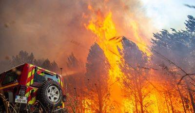 В Эстонии из-за лесного пожара перекрыта трасса Таллин - Пярну