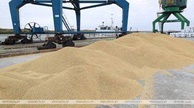Беларусь увеличила экспорт сельхозпродукции в Россию и Китай