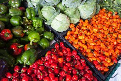 Цены на сезонные овощи и фрукты в Украине – насколько сильно изменились