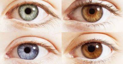 Очень особенные люди. Ученые назвали самый редкий цвет глаз на Земле