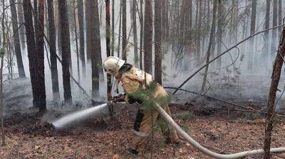 Число погибших в результате лесного пожара в Казахстане увеличилось до 14