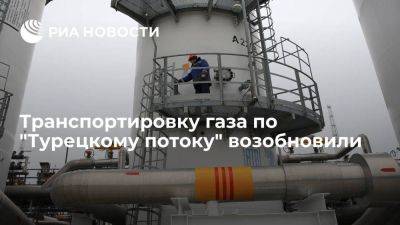 "Газпром": транспортировку газа по "Турецкому потоку" возобновили поле плановых работ