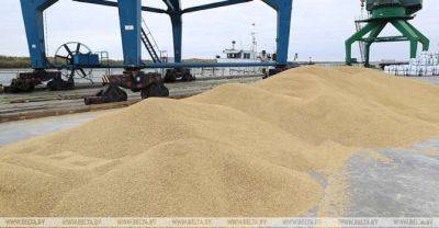 Belarus increases agricultural exports to Russia, China - udf.by - Китай - Belarus - Russia