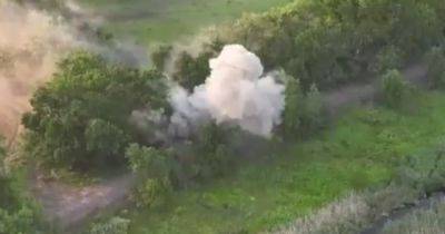 Разбили всех: морпехи ВСУ отбили встречную атаку в освобожденном Сторожевом (видео)
