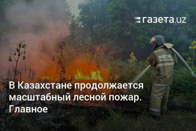 В Казахстане продолжается масштабный лесной пожар. Главное